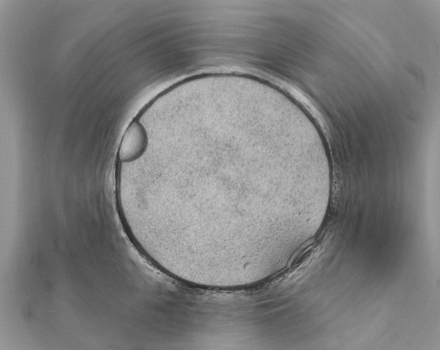 X0000111380951200908211337