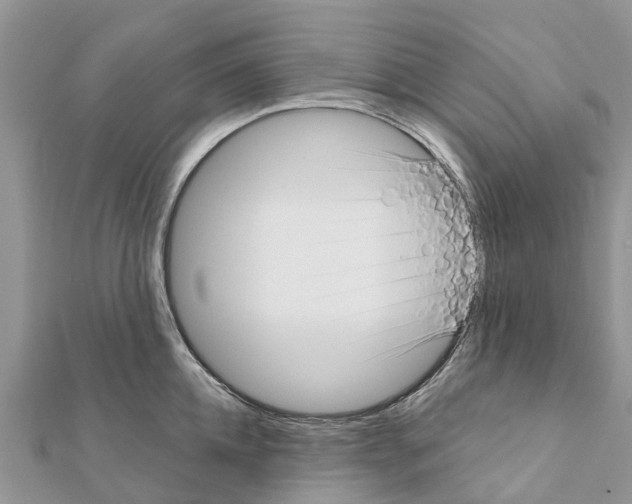 X0000111380952200908211337