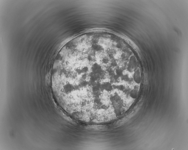 X0000111380953200908211337