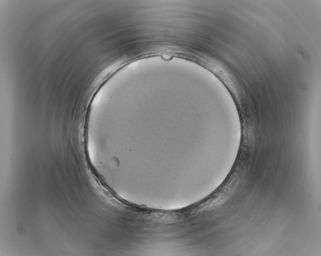 X0000111380954200908211337