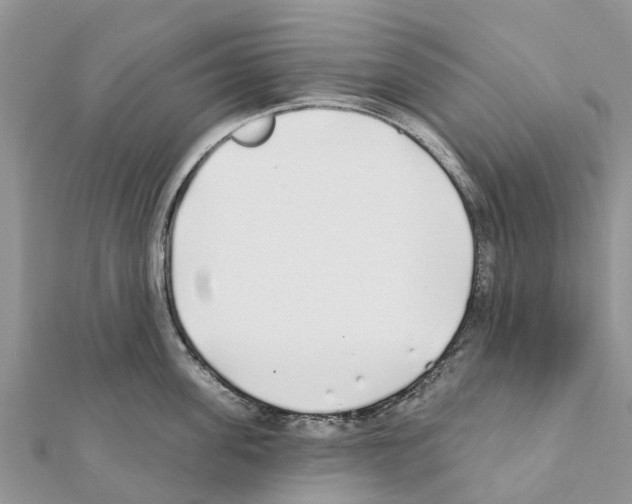 X0000111380955200908211337