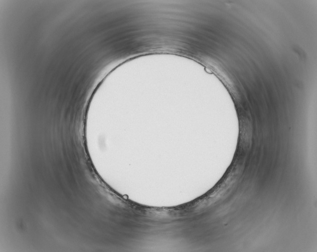 X0000111380956200908211337