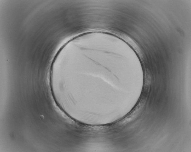 X0000111380958200908211337