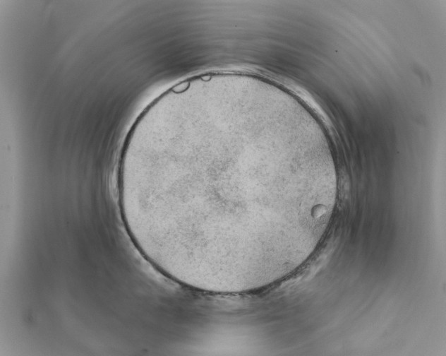 X0000111380959200908211337