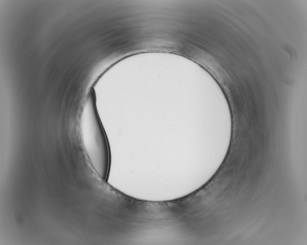 X0000111380960200908211337