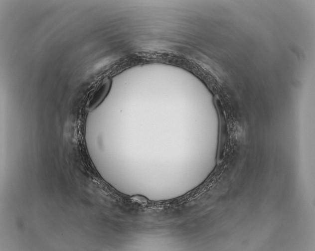 X0000111380965200908211336