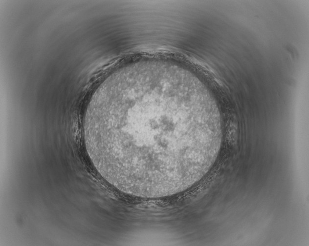 X0000111380966200908211336