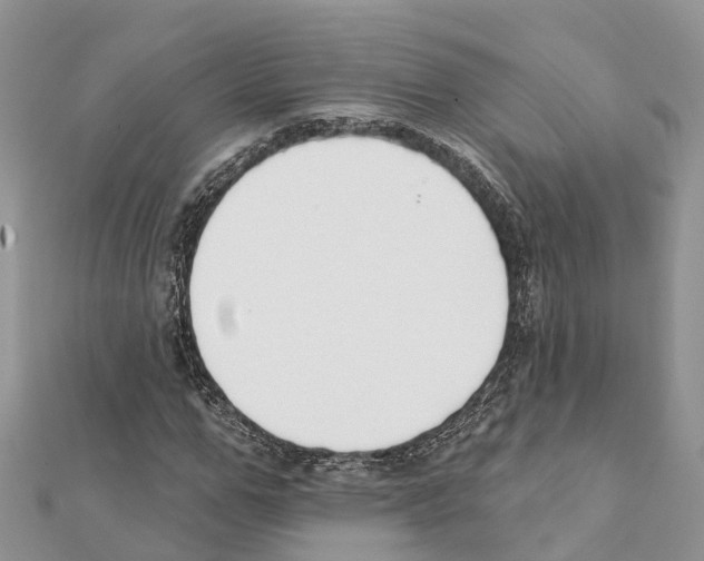 X0000111380967200908211336