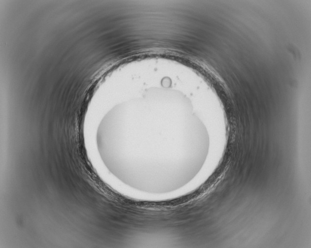 X0000111380969200908211336