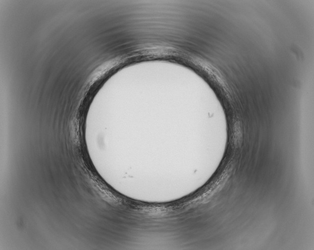 X0000111380970200908211336