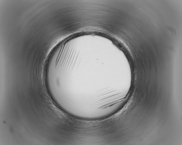 X0000111380973200908211336