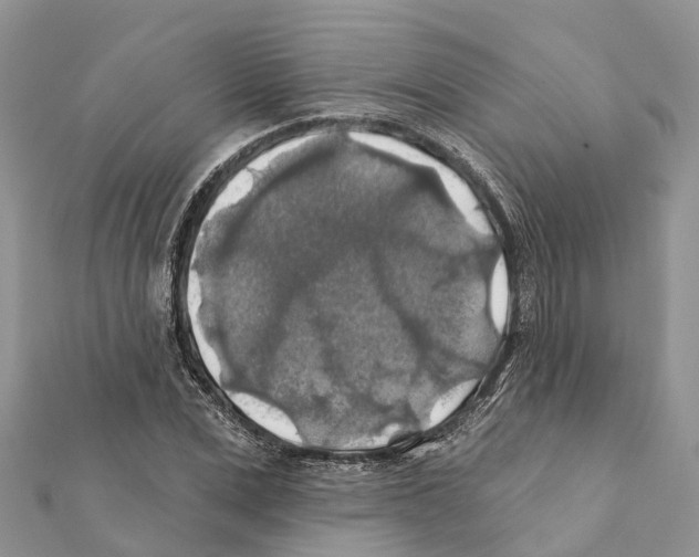 X0000111380975200908211336