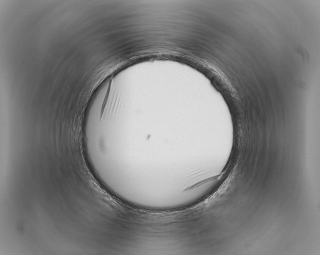 X0000111380977200908211336