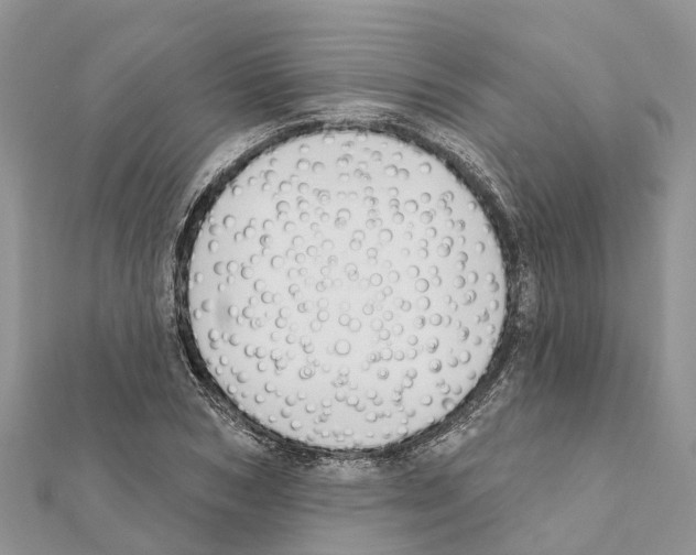 X0000111380978200908211336