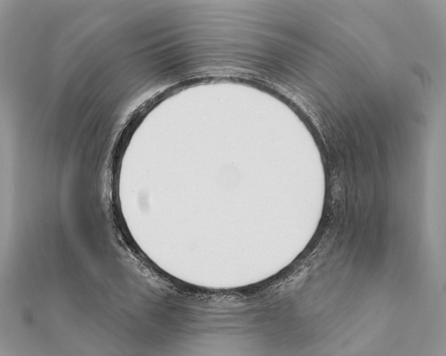 X0000111380979200908211336