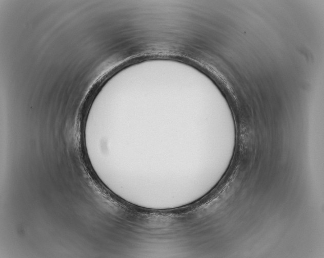 X0000111380981200908211336