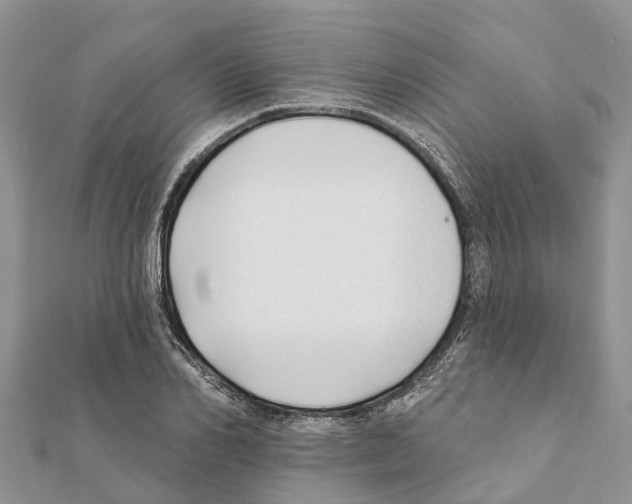 X0000111380982200908211336