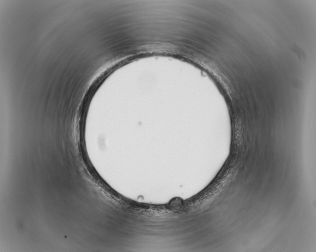 X0000111380983200908211336