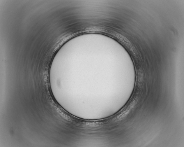 X0000111380985200908211336