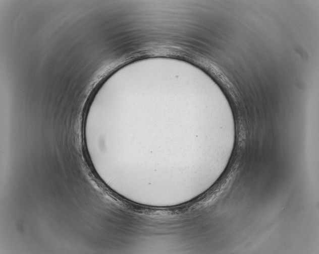 X0000111380986200908211336