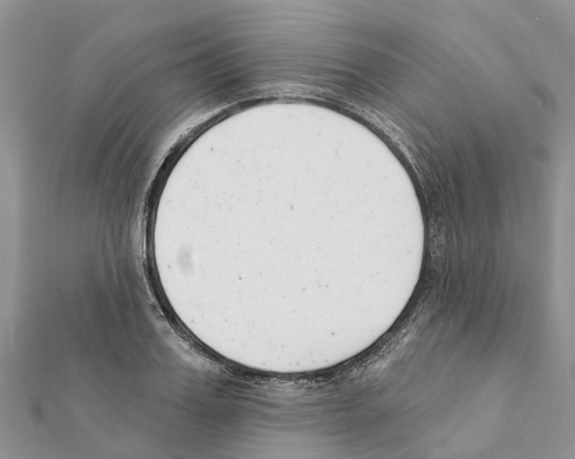 X0000111380987200908211336