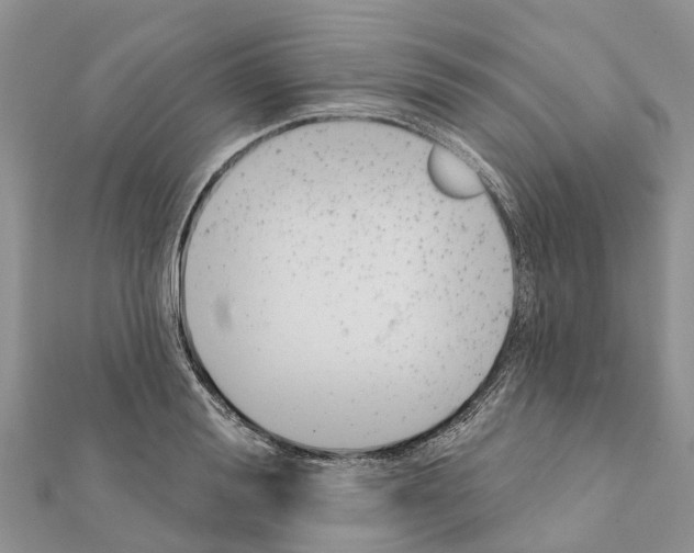 X0000111380988200908211336