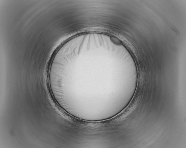 X0000111380989200908211336