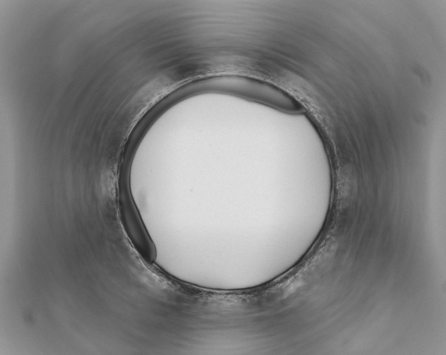 X0000111380993200908211336