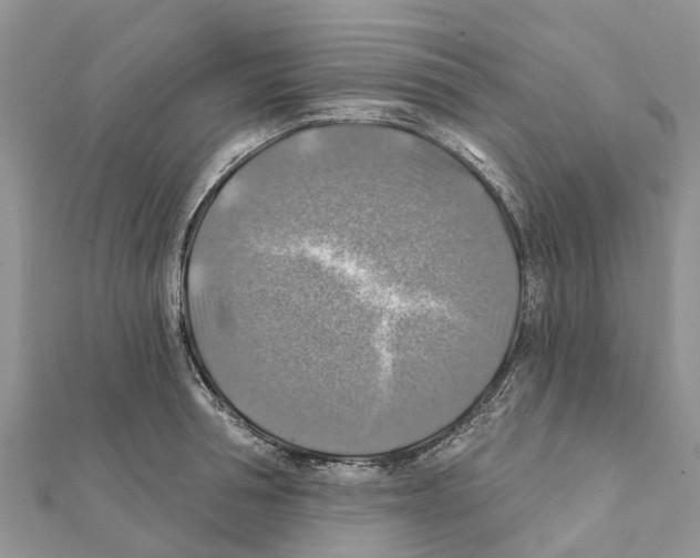 X0000111380994200908211336