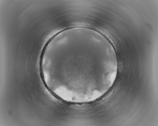 X0000111380995200908211336