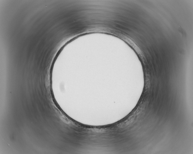 X0000111380996200908211336