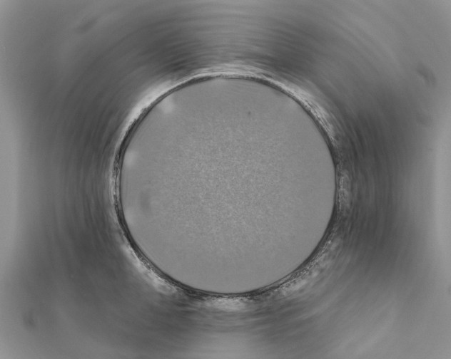 X0000111380998200908211336