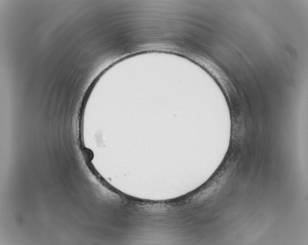 X0000111380999200908211336