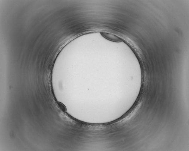 X0000111381001200908211336