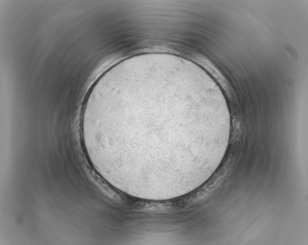 X0000111381002200908211336