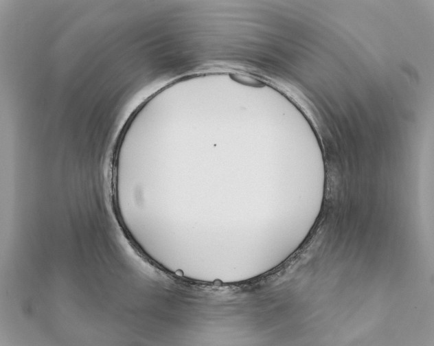 X0000111381003200908211336