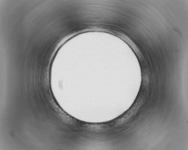 X0000111381004200908211336