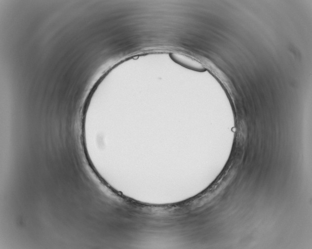 X0000111381005200908211336