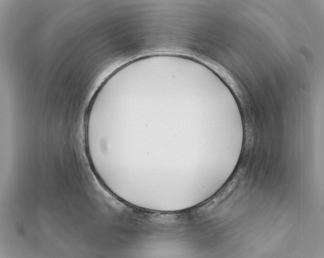 X0000111381006200908211336