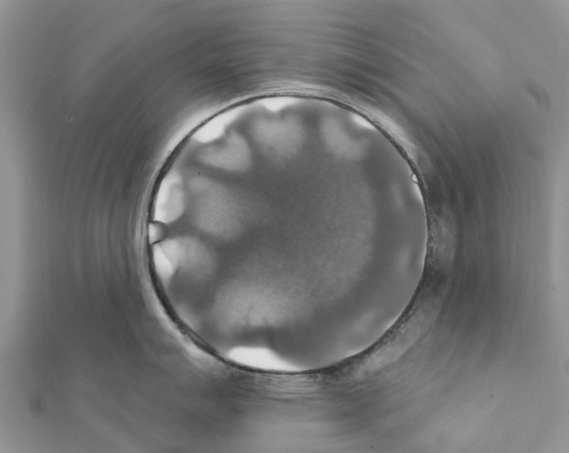 X0000111381007200908211336