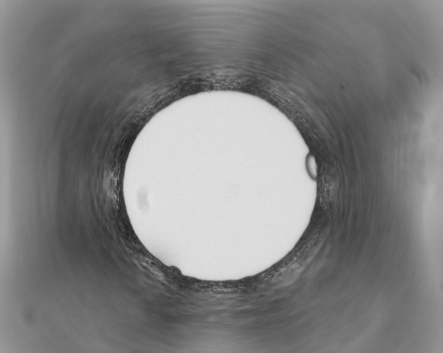 X0000111381010200908211335