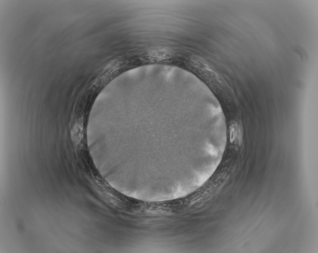 X0000111381011200908211335