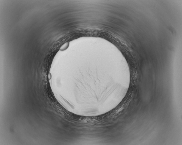 X0000111381013200908211335