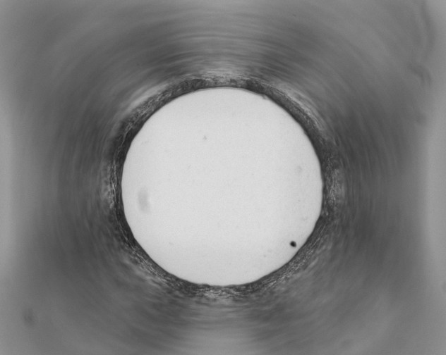 X0000111381015200908211335