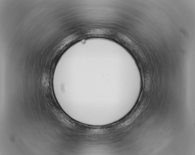 X0000111381017200908211335