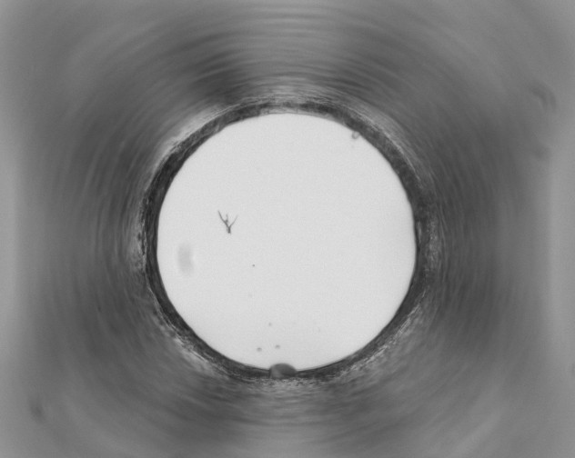 X0000111381018200908211335