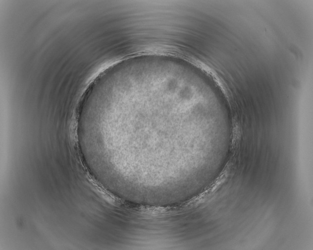 X0000111381019200908211335