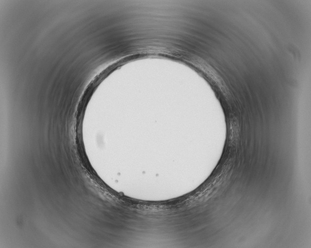 X0000111381020200908211335