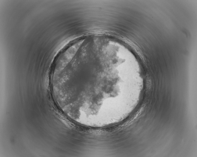 X0000111381023200908211335