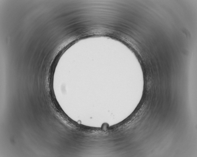 X0000111381026200908211335